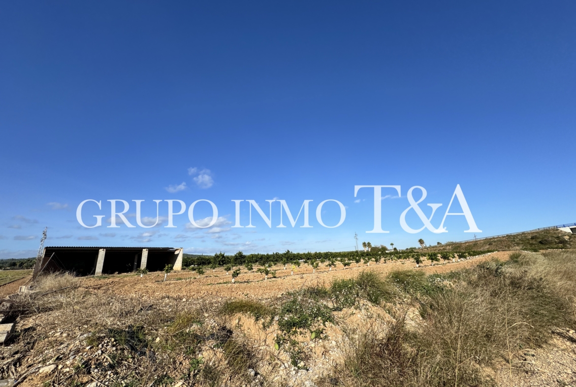 1181- Terreno en venta en E-15