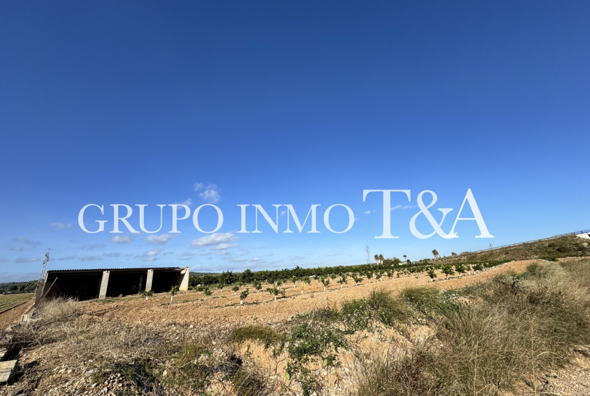 1181- Terreno en venta en E-15