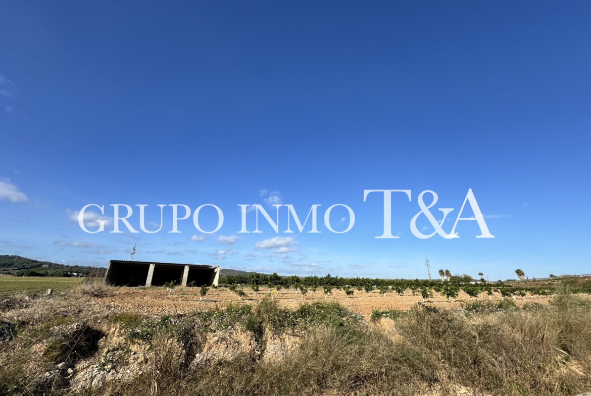 1181- Terreno en venta en E-15