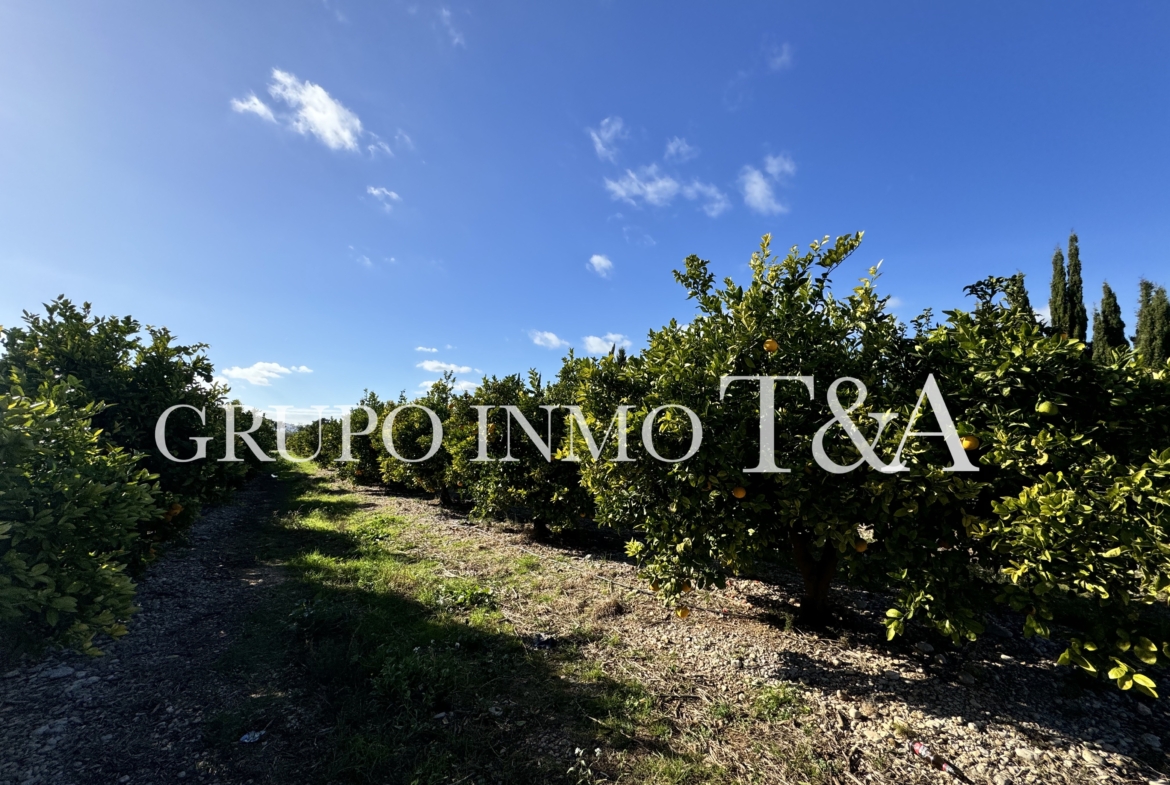 1181- Terreno en venta en E-15