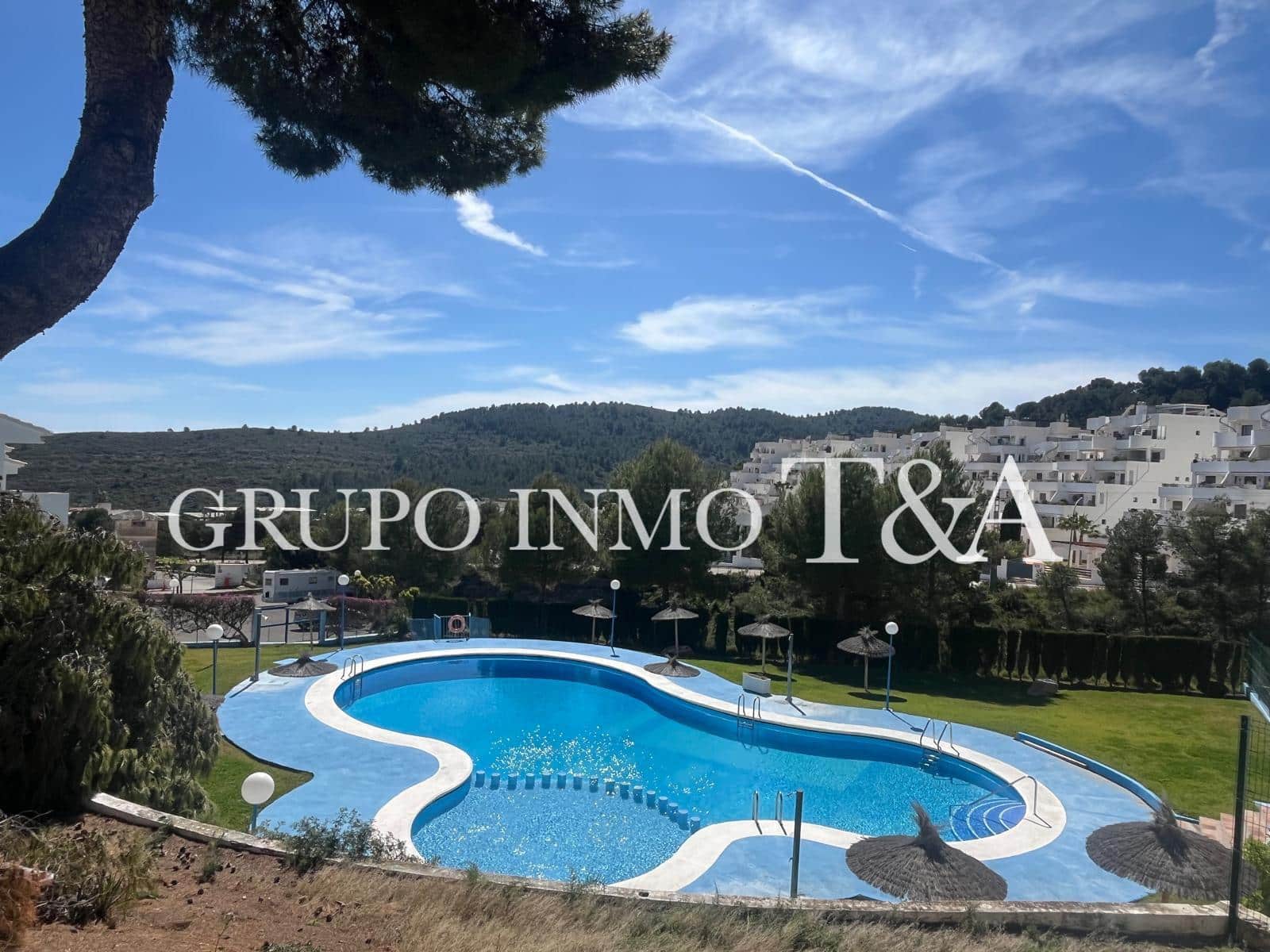 PHOTO-2026-03-20-10-21-37 5