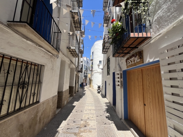 1198- Chalet pareado en venta en Calle Saiz de Carlos
